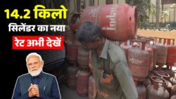 14.2 किलो घरेलू गैस के नए रेट जारी, अपने शहर का भाव तुरंत देखें LPG New Rates